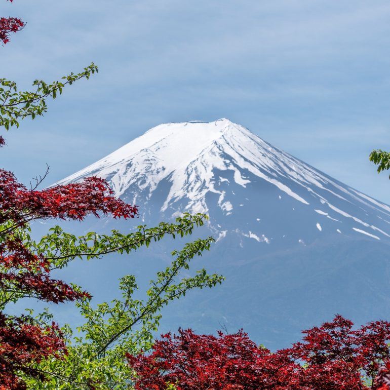 Japão